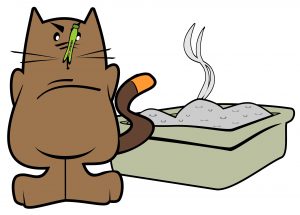 cat litter box hygiene