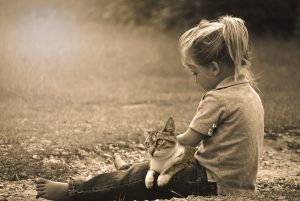 healthy relationship with pet parents
