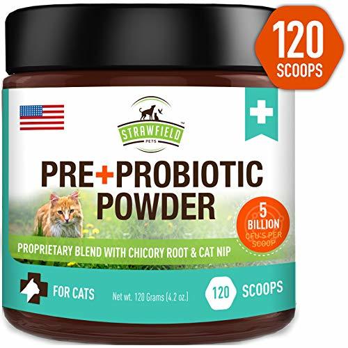 Probiotics for Cats + Prebiotic, Catnip - 120 Grams 5 Billion CFUs 20 ...